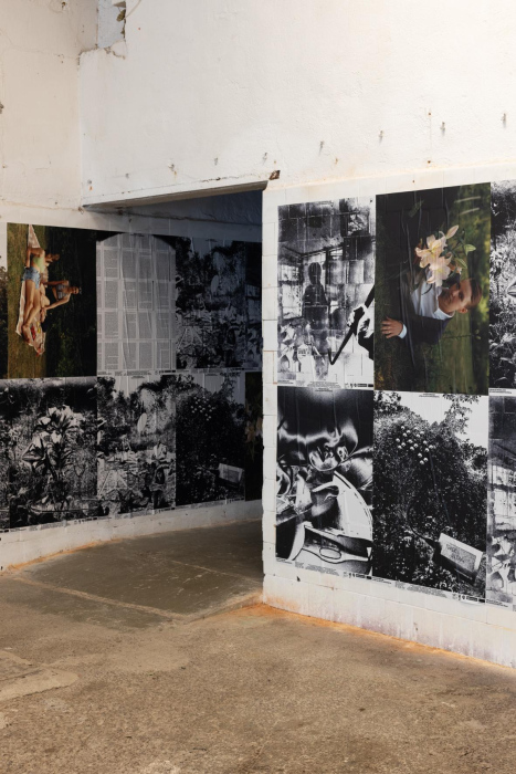 Fever Dream at the Cēsis Art Festival 2025, posters by Stefans Pavlovskis